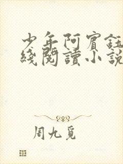 少年阿宾钰慧在线阅读小说txt封面