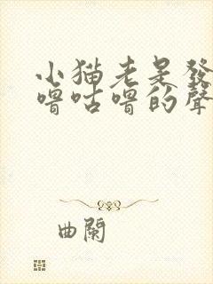 小猫老是发出咕噜咕噜的声音