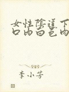 女性阴道下阴道口内白色肉芽