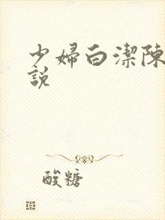 少妇白洁陈三小说封面