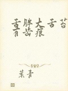 舌胖大舌苔厚黄有齿痕封面