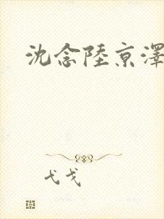 沈念陆京泽全文