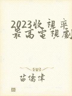 2023收视率最高电视剧封面