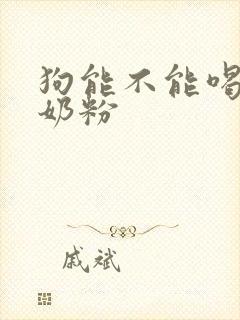 狗能不能喝骆驼奶粉