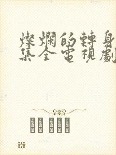 灿烂的转身40集全电视剧解说