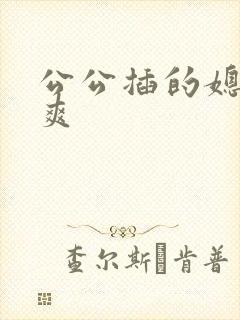 公公插的媳妇好爽