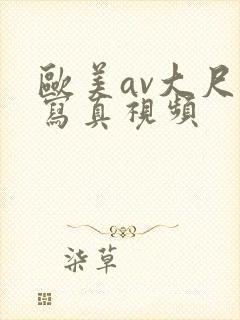 欧美av大尺度写真视频