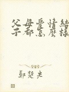 父母爱情结局孩子都怎么样