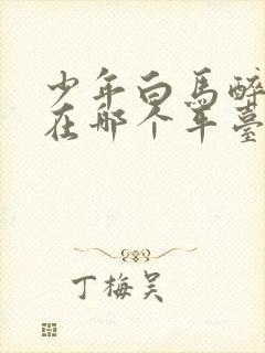 少年白马醉春风在哪个平台播放