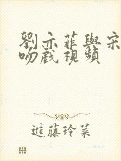 刘亦菲与宋承宪吻戏视频