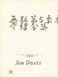 无耻第5季剧情介绍分集