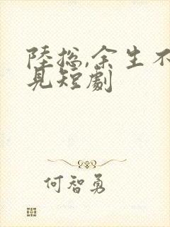 陆总,余生不再见短剧封面