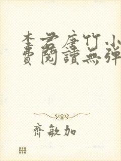 李君唐竹小说免费阅读无弹窗全文封面