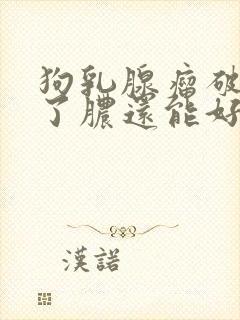 狗乳腺瘤破了排了脓还能好吗