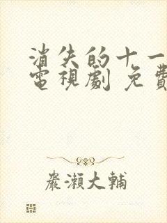 消失的十一层 电视剧 免费