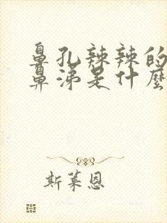 鼻孔辣辣的流清鼻涕是什么原因