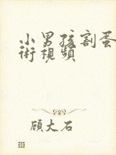 小男孩割蛋蛋手术视频