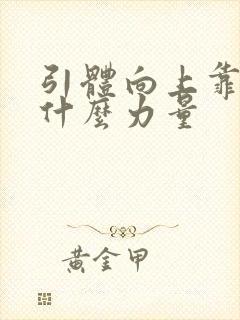 引体向上靠的是什么力量