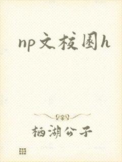 np文校园h