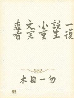 爽文小说一口气看完重生复仇