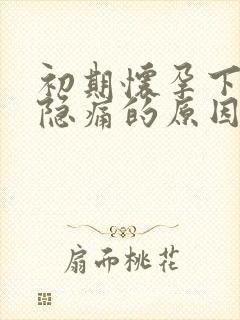 初期怀孕下腹部隐痛的原因