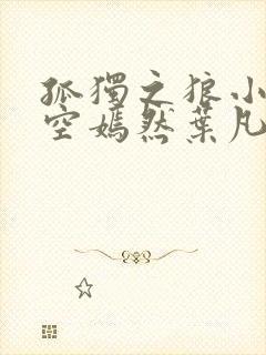 孤独之狼小说司空嫣然叶凡