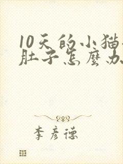 10天的小猫拉肚子怎么办