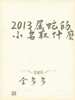 2013属蛇的小名取什么最好