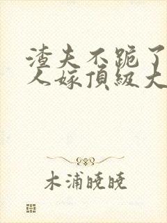 渣夫不跪了,夫人嫁顶级大佬封面