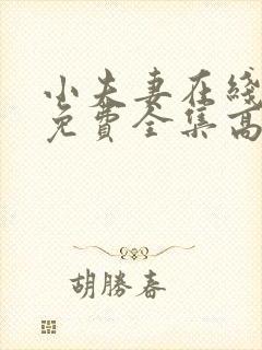 小夫妻在线观看免费全集高清完整