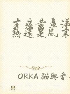 有痰黄鼻涕是风热还是风寒