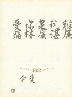 爱你是我难言的痛林帘湛廉时封面