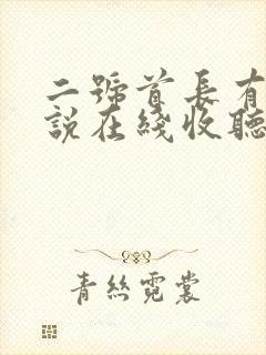 二号首长有声小说在线收听