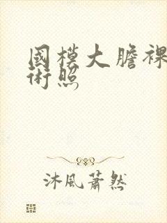 国模大胆裸体艺术照封面