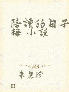 陪读的日子 王梅 小说封面