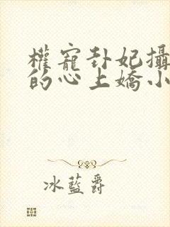 权宠卦妃摄政王的心上娇小说