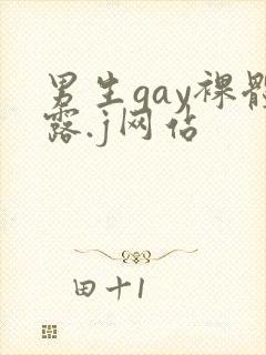 男生gay裸体露.j网站