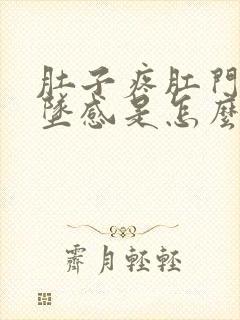 肚子疼肛门有下坠感是怎么回事