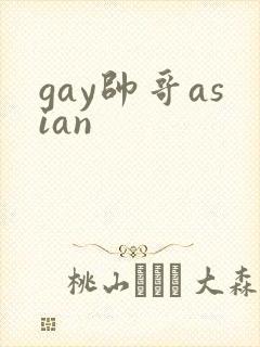 gay帅哥asian
