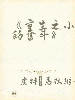 《重生之小人物的奋斗》