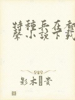 特种兵在都市有声小说下载