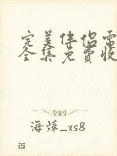 完美伴侣电视剧全集免费收看