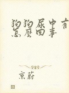 狗狗尿中有血是怎么回事封面