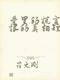 爱里的谎言,仇恨的真相短剧全集观看封面