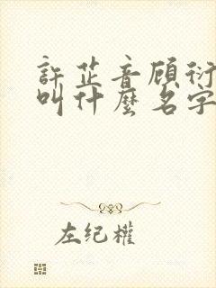 许芷音顾衍小说叫什么名字