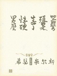 男性生殖器为什么硬了是弯的封面