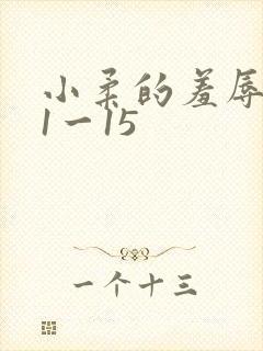 小柔的羞辱日记1一15