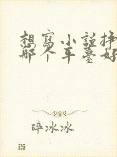 想写小说挣钱去哪个平台好