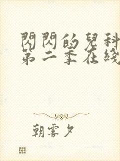 闪闪的儿科医生第二季在线观看封面