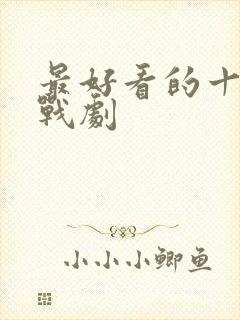 最好看的十部谍战剧